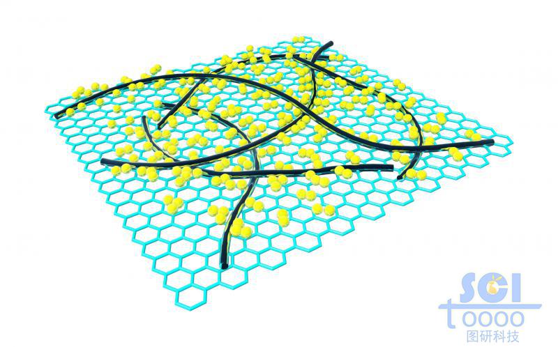 表面附着纳米线/碳纳米管与小分子的石墨烯