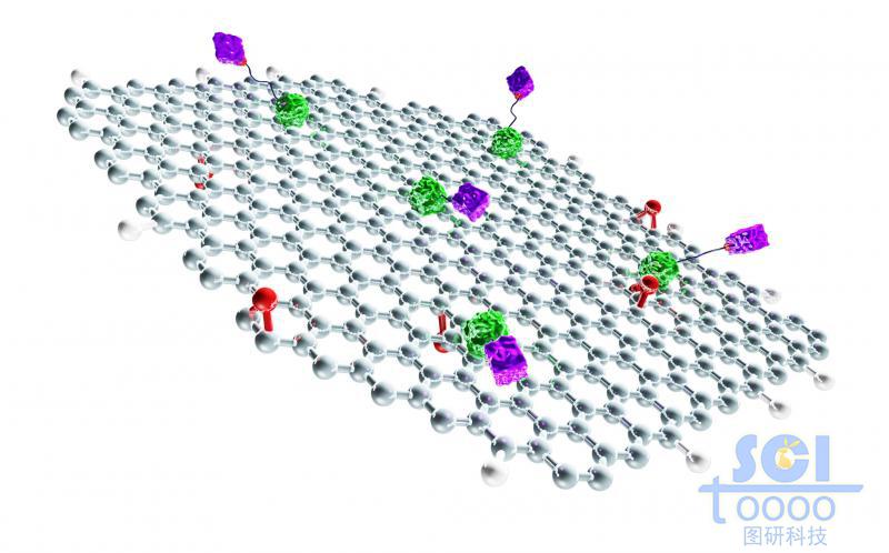表面附着配体蛋白结构的石墨烯