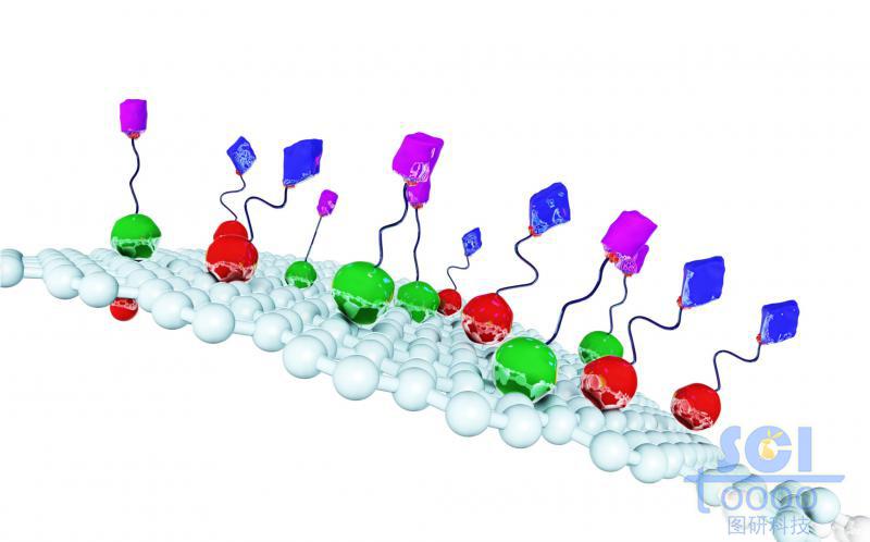 表面附着配体蛋白结构的石墨烯