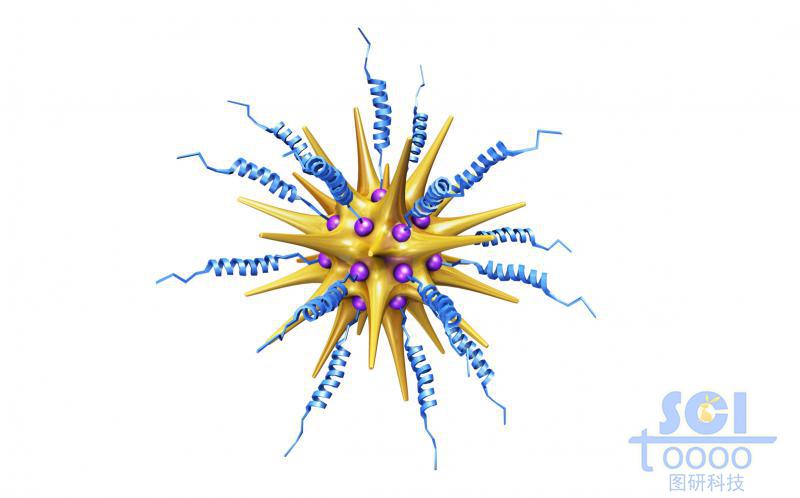 表面镶嵌小分子结构及多肽链的金纳米星
