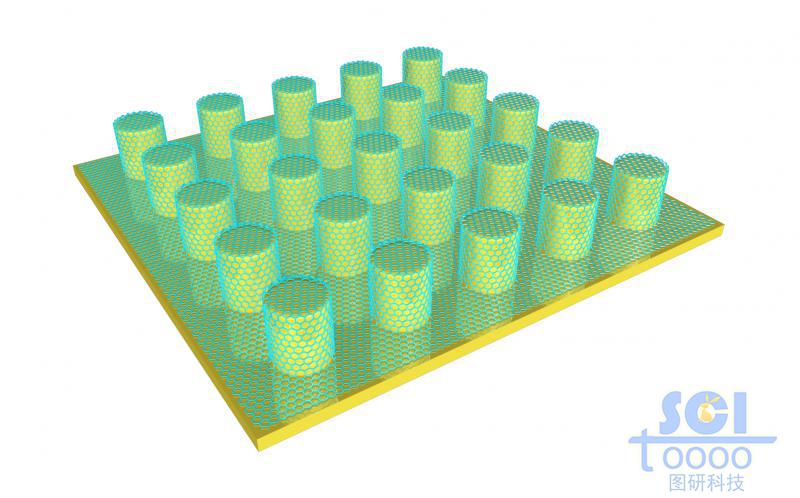石墨烯包裹的纳米柱阵列