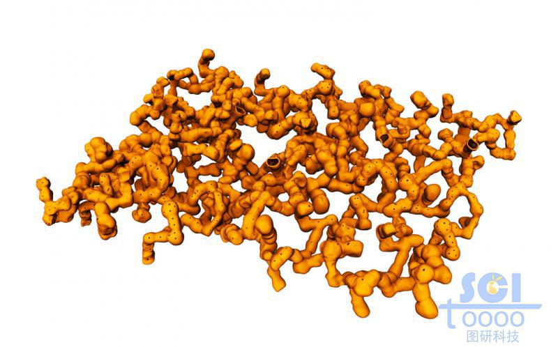 珊瑚状高分子聚合物形成的网状结构