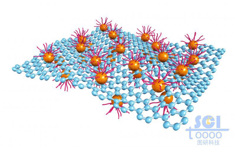 起伏的石墨烯上下表面附着高分子化合物