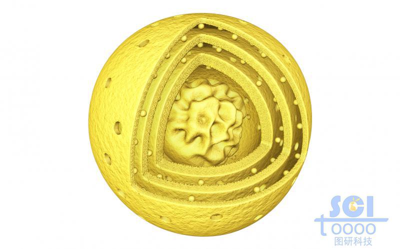 不规则内核外部三层介孔结构