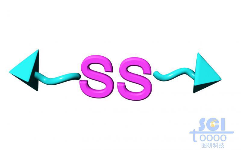 ss硫硫键