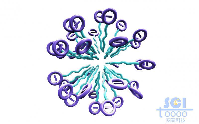 带负电荷的高分子链放射状团聚成球