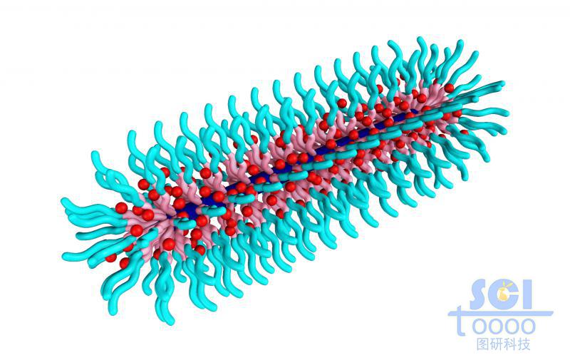 胶囊状三段式高分子聚合结构孔隙内嵌纳米药物颗粒