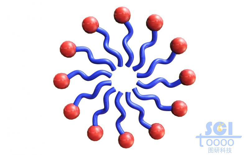 排成圆环的高分子链段示意结构