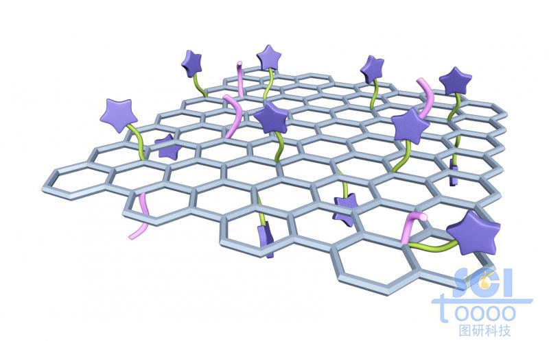 负载小分子基团和分子链段的石墨烯片