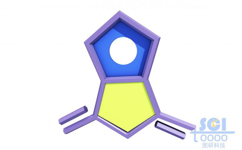 分子模式图