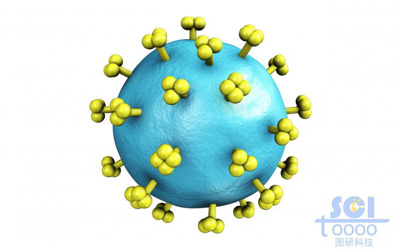 表面带突起的病毒结构