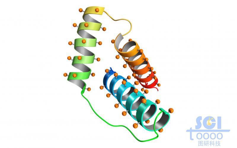 蛋白质结构