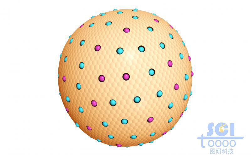 表面镶嵌不同粒子的多孔纳米球
