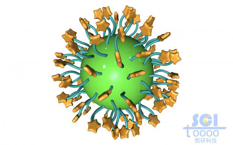 表面带星星状靶头的纳米球