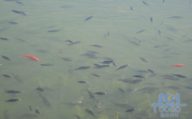 水素材